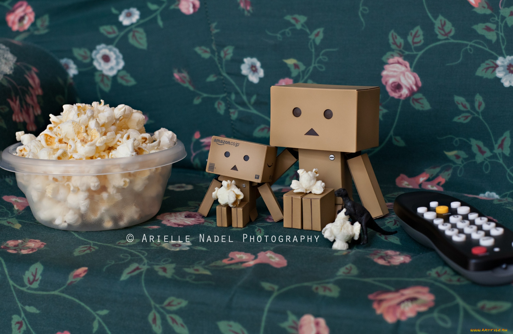 , , danboard, , , 